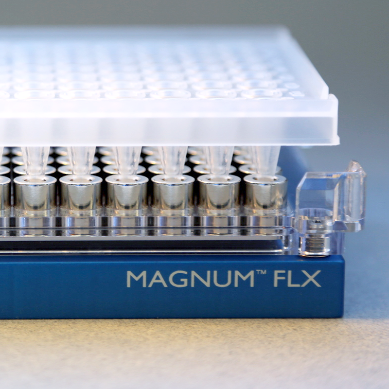 rouleau magnétique naturel - Néoflex-7 - XFMAG Aimants