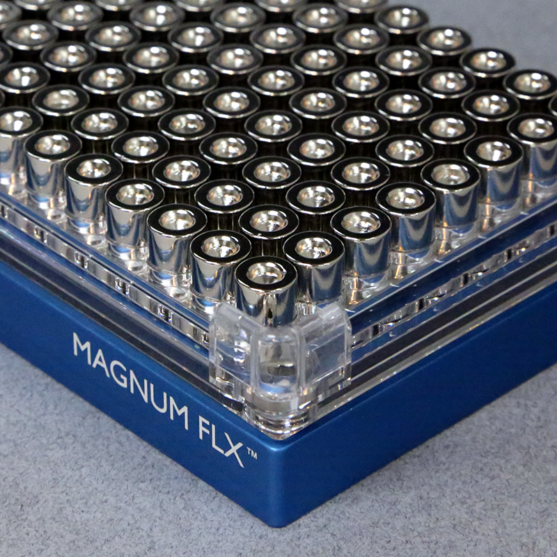 Magflex 140x80mm Flexible Magnetische Platte, Grün Trocken Wischen