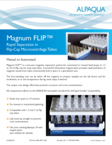 Magnum Flip